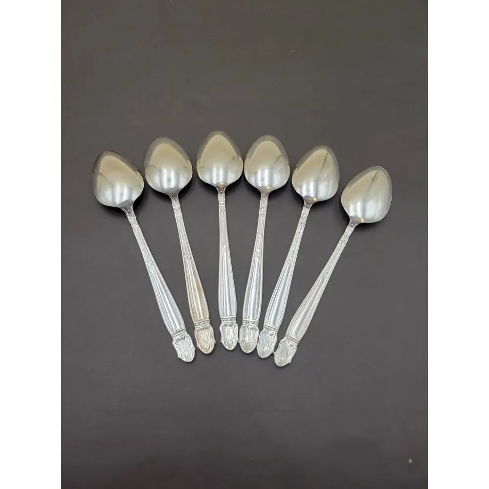 Service for 6 DANISH PRINCESS Silverplate Holmes & Edwards Flatware Set in Case
